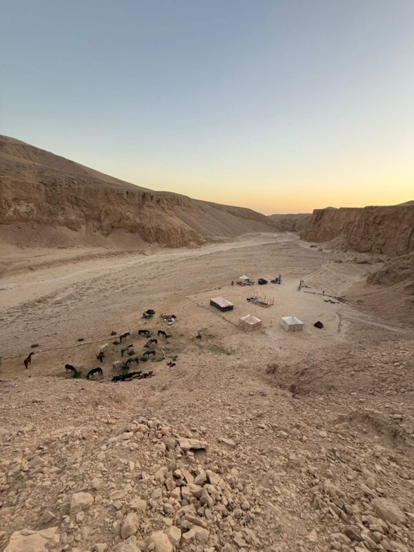 1-, 2-, of 3-daagse Paardrijtocht in de woestijn Luxor - Egypte