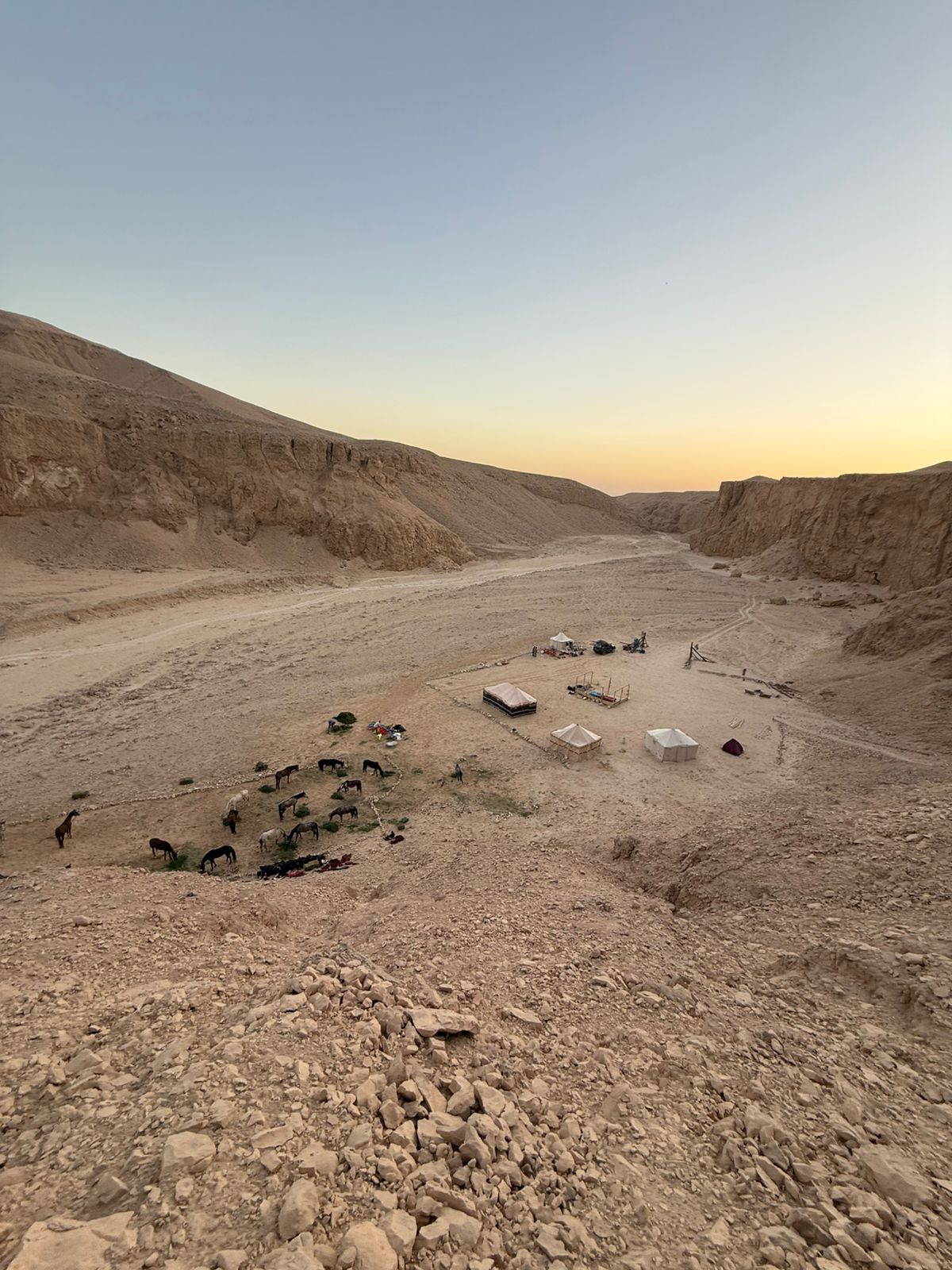 1-, 2-, of 3-daagse Paardrijtocht in de woestijn Luxor - Egypte - Afbeelding 8