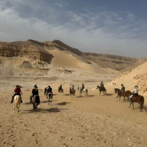 1-, 2-, of 3-daagse Paardrijtocht in de woestijn Luxor - Egypte - Afbeelding 9