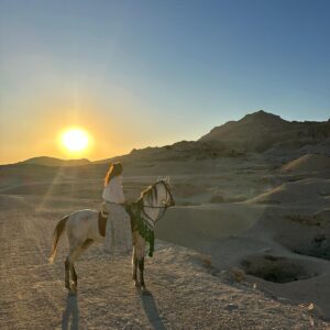 1-, 2-, of 3-daagse Paardrijtocht in de woestijn Luxor - Egypte - Afbeelding 27