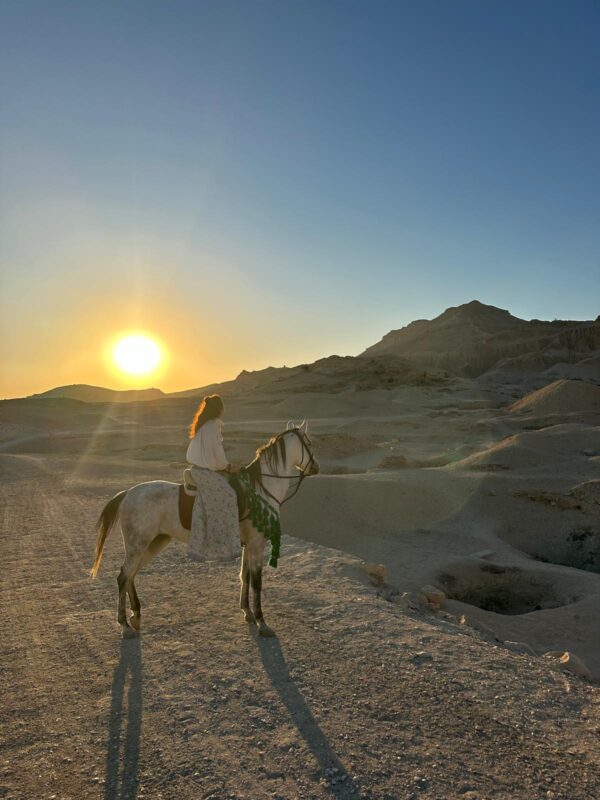 1-, 2-, of 3-daagse Paardrijtocht in de woestijn Luxor - Egypte