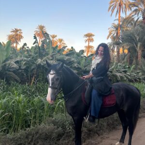 1-, 2-, of 3-daagse Paardrijtocht in de woestijn Luxor - Egypte - Afbeelding 38