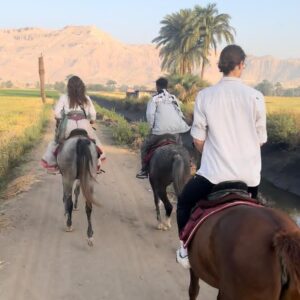 1-, 2-, of 3-daagse Paardrijtocht in de woestijn Luxor - Egypte - Afbeelding 41