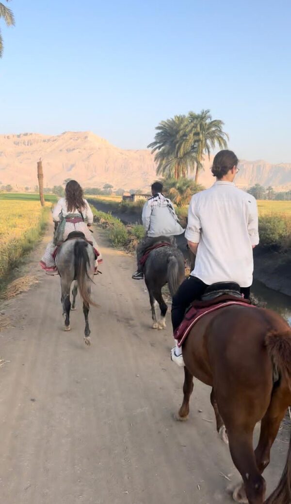 1-, 2-, of 3-daagse Paardrijtocht in de woestijn Luxor - Egypte