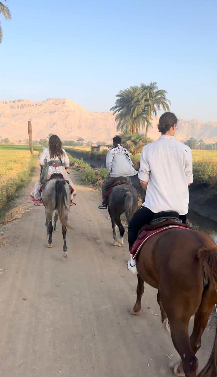 1-, 2-, of 3-daagse Paardrijtocht in de woestijn Luxor - Egypte - Afbeelding 41