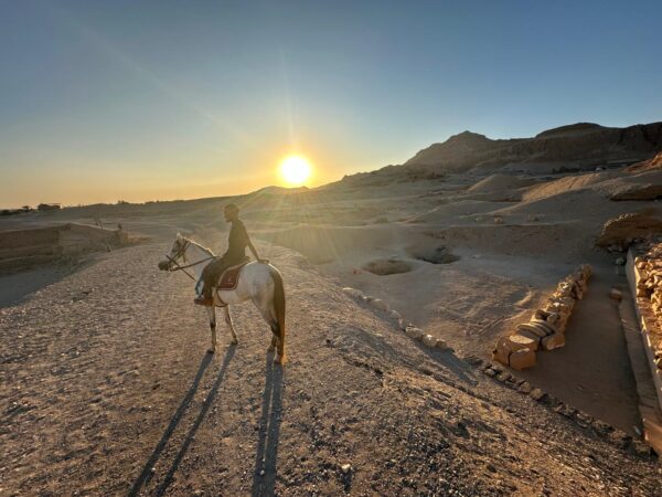 1-, 2-, of 3-daagse Paardrijtocht in de woestijn Luxor - Egypte