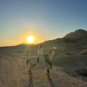 1-, 2-, of 3-daagse Paardrijtocht in de woestijn Luxor - Egypte - Afbeelding 45