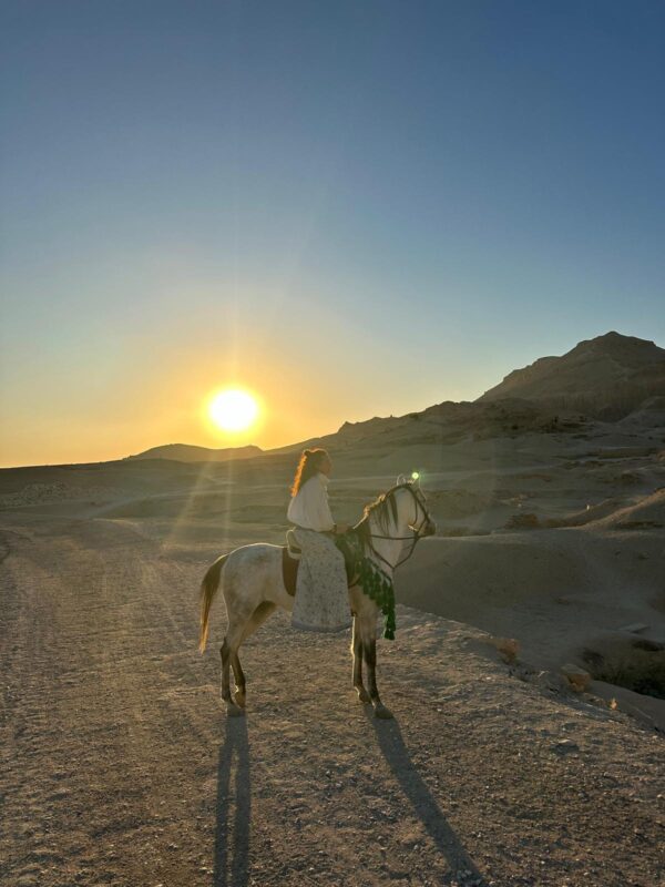 1-, 2-, of 3-daagse Paardrijtocht in de woestijn Luxor - Egypte