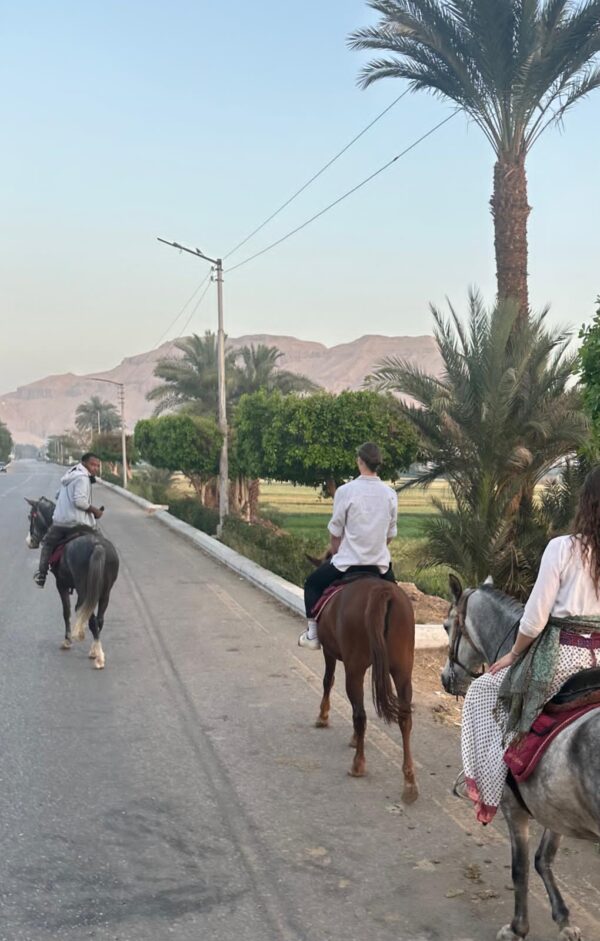 1-, 2-, of 3-daagse Paardrijtocht in de woestijn Luxor - Egypte