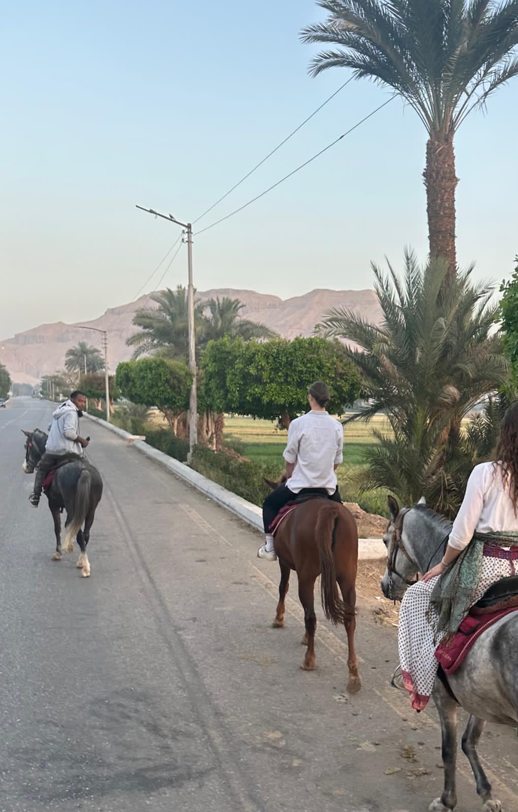 1-, 2-, of 3-daagse Paardrijtocht in de woestijn Luxor - Egypte - Afbeelding 46