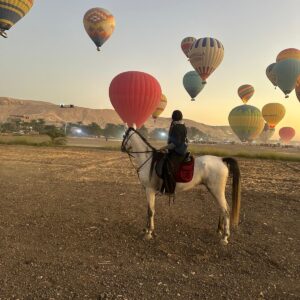 1-, 2-, of 3-daagse Paardrijtocht in de woestijn Luxor - Egypte - Afbeelding 31