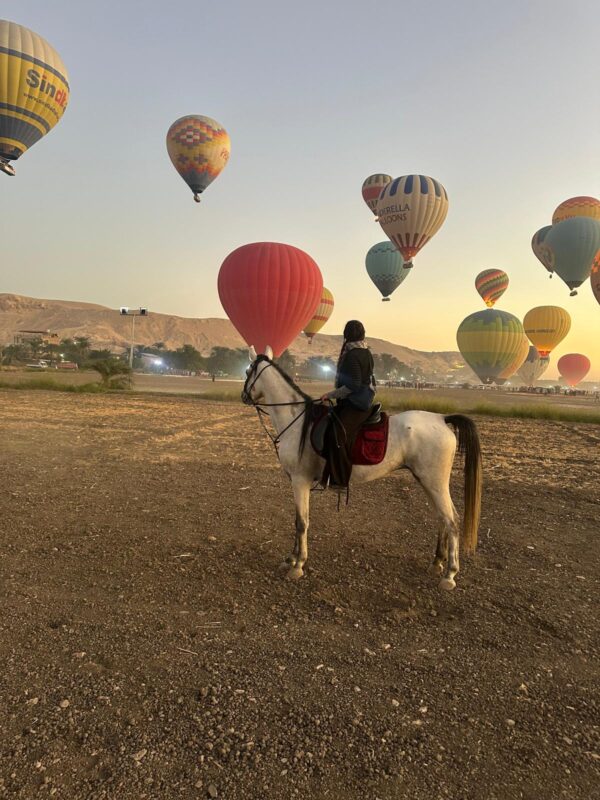 1-, 2-, of 3-daagse Paardrijtocht in de woestijn Luxor - Egypte