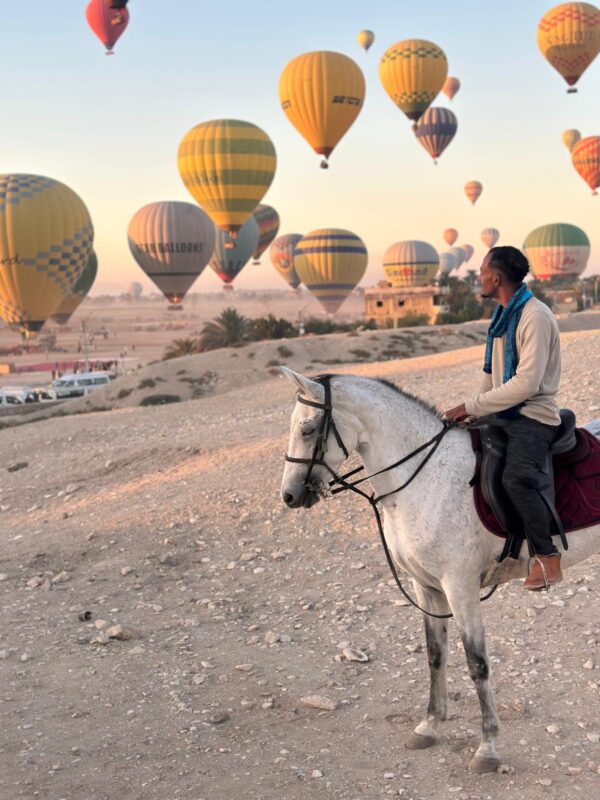 1-, 2-, of 3-daagse Paardrijtocht in de woestijn Luxor - Egypte