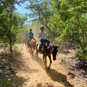 2- of meerdaagse standplaats paardrijvakantie Victoria Falls - Zimbabwe - Afbeelding 17