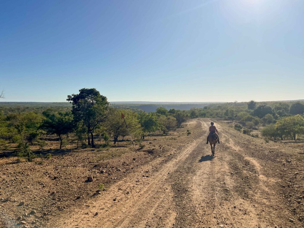 Overnachting met 2 paardrijritten in het dorp - Victoria Falls - Zimbabwe