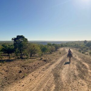 2- of meerdaagse standplaats paardrijvakantie Victoria Falls - Zimbabwe - Afbeelding 8