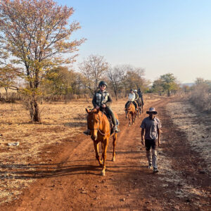 2- of meerdaagse standplaats paardrijvakantie Victoria Falls - Zimbabwe - Afbeelding 4