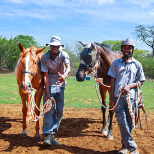2- of meerdaagse standplaats paardrijvakantie Victoria Falls - Zimbabwe - Afbeelding 3