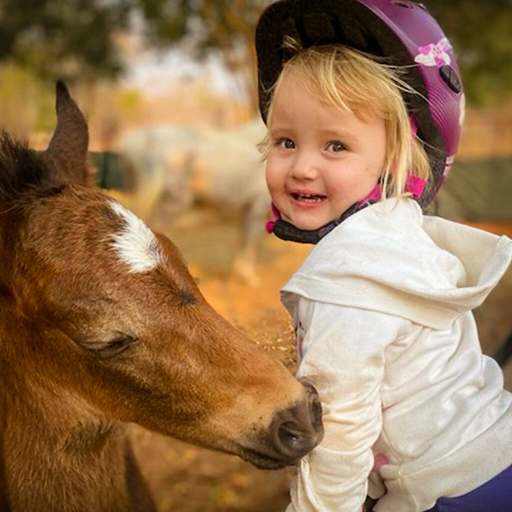 Overnachting met 2 paardrijritten in het dorp - Victoria Falls - Zimbabwe