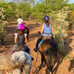 2- of meerdaagse standplaats paardrijvakantie Victoria Falls - Zimbabwe - Afbeelding 13