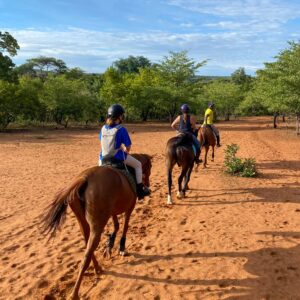 2- of meerdaagse standplaats paardrijvakantie Victoria Falls - Zimbabwe - Afbeelding 11