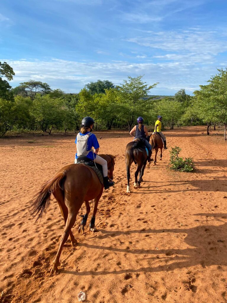 Overnachting met 2 paardrijritten in het dorp - Victoria Falls - Zimbabwe