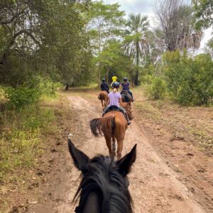 2- of meerdaagse standplaats paardrijvakantie Victoria Falls - Zimbabwe - Afbeelding 10