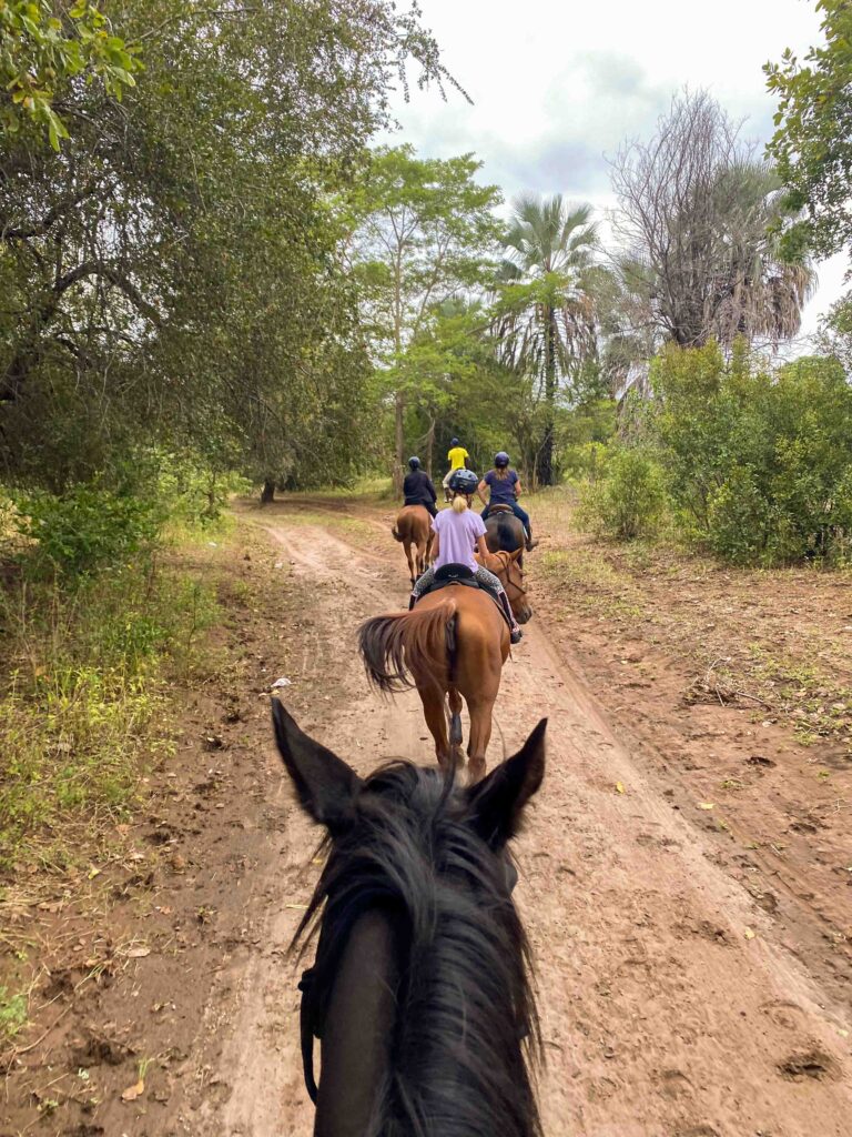 Overnachting met 2 paardrijritten in het dorp - Victoria Falls - Zimbabwe