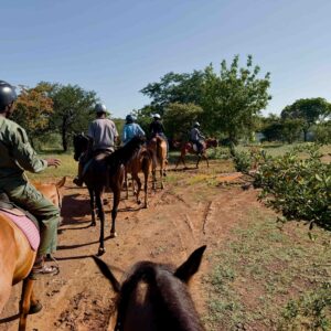 Buitenritten Victoria Falls - Zimbabwe - Afbeelding 6