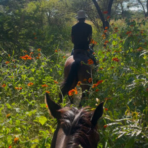 Buitenritten Victoria Falls - Zimbabwe - Afbeelding 3