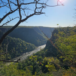 Buitenritten Victoria Falls - Zimbabwe - Afbeelding 9