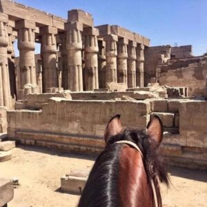 8-daagse Paardrijtocht Koninkrijken & Kustlijnen- Egypte