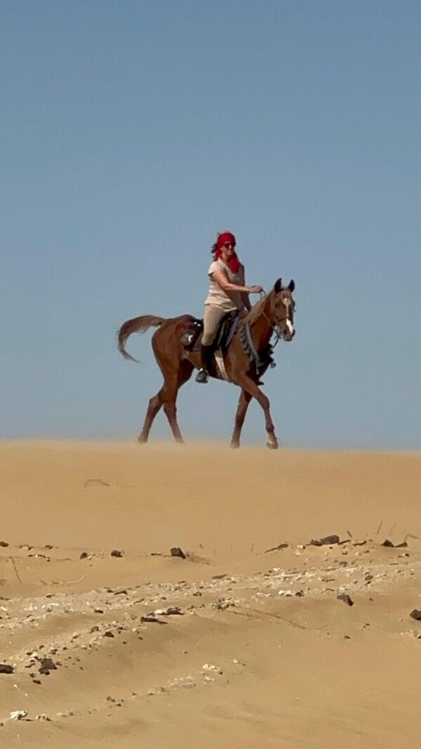 13-daagse Paardrijtocht De Ultieme Egypte Beleving- Egypte