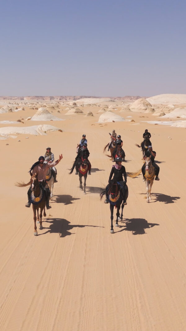 8-daagse Paardrijtocht Ontdek de Witte Woestijn en Meer- Egypte