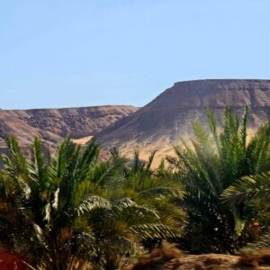 8-daagse Paardrijtocht Ontdek de Witte Woestijn en Meer- Egypte - Afbeelding 28