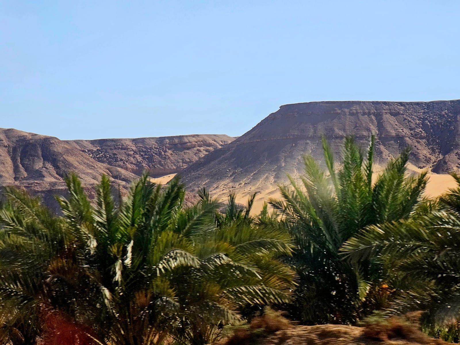 8-daagse Paardrijtocht Ontdek de Witte Woestijn en Meer- Egypte