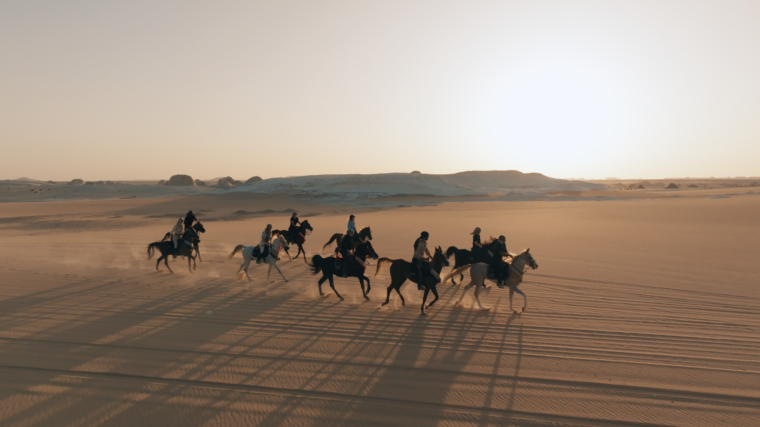 13-daagse Paardrijtocht De Ultieme Egypte Beleving- Egypte - Afbeelding 25