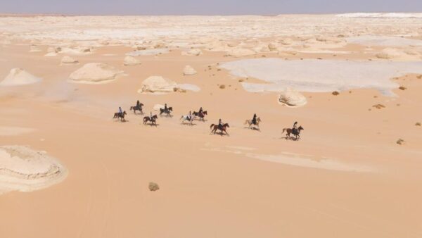 13-daagse Paardrijtocht De Ultieme Egypte Beleving- Egypte