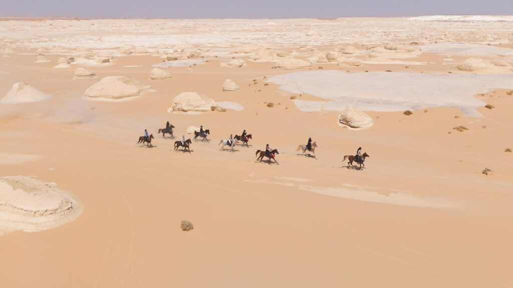 13-daagse Paardrijtocht De Ultieme Egypte Beleving- Egypte - Afbeelding 20