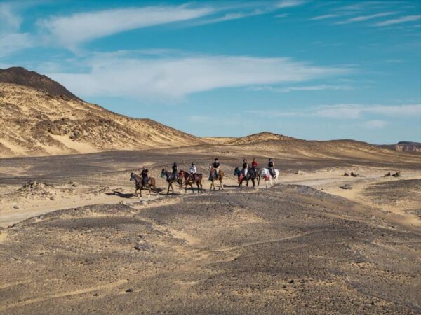8-daagse Paardrijtocht Ontdek de Witte Woestijn en Meer- Egypte