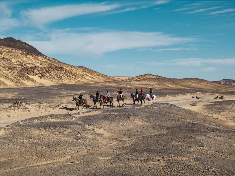8-daagse Paardrijtocht Ontdek de Witte Woestijn en Meer- Egypte - Afbeelding 23