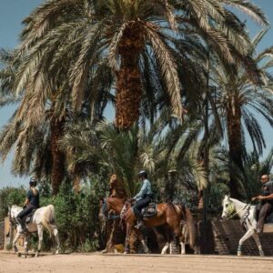 8-daagse Paardrijtocht Koninkrijken & Kustlijnen- Egypte - Afbeelding 11