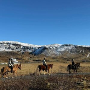 Buitenritten Hveragerði - IJsland - Afbeelding 14