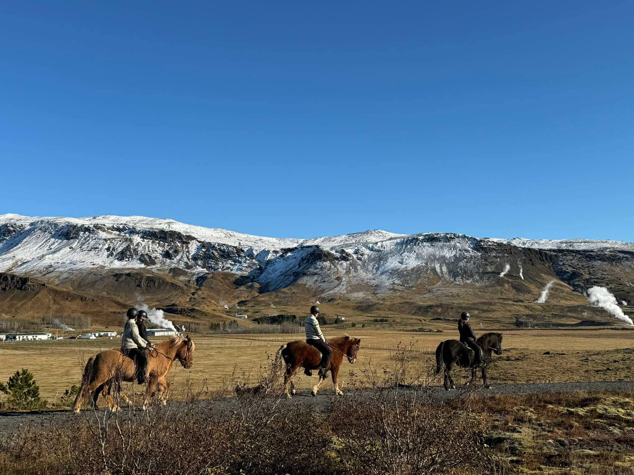 Buitenritten Hveragerði - IJsland - Afbeelding 14