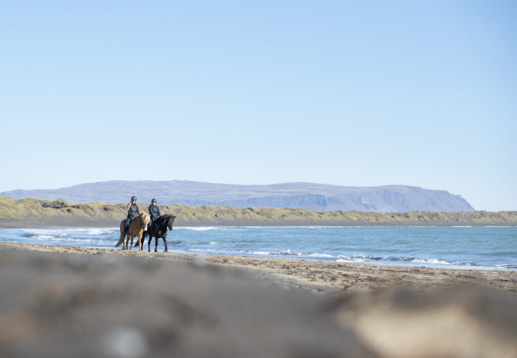 Buitenritten Hveragerði - IJsland