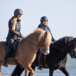 Buitenritten Hveragerði - IJsland - Afbeelding 8